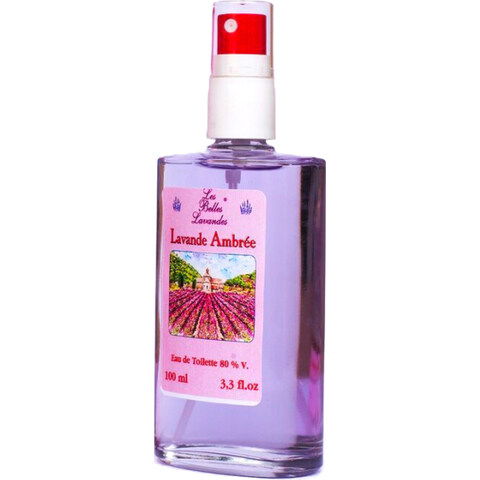 Les Belles Lavandes - Lavande Ambrée