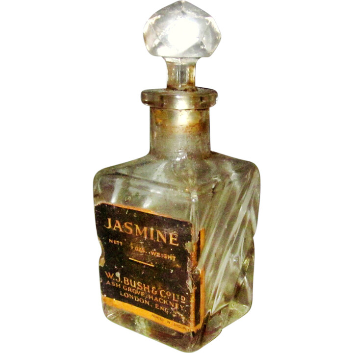 Jasmine by W. J. Bush Co. perfume bottle