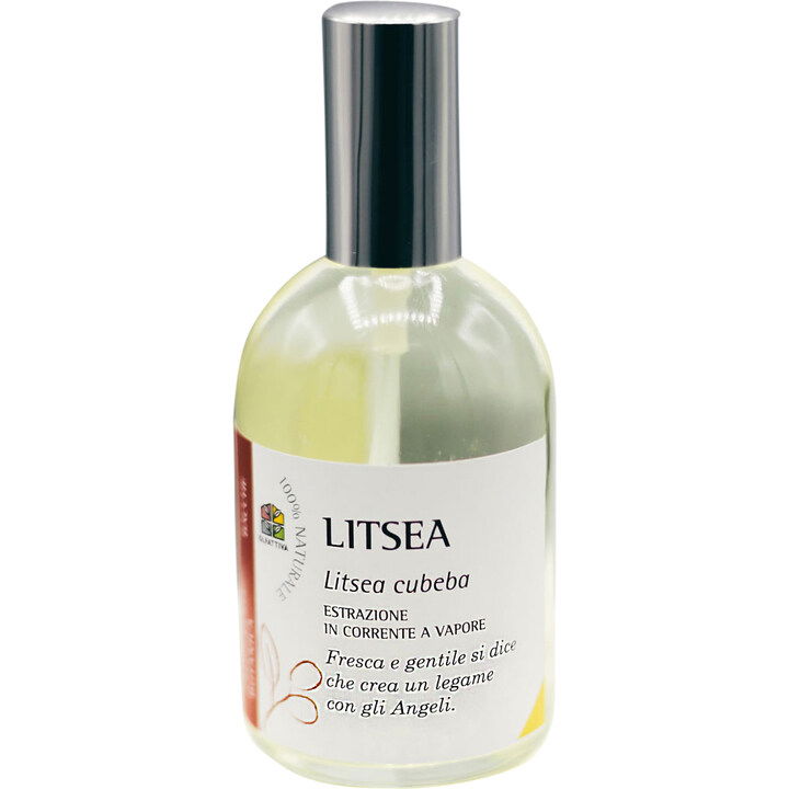 Litsea by Olfattiva perfume bottle