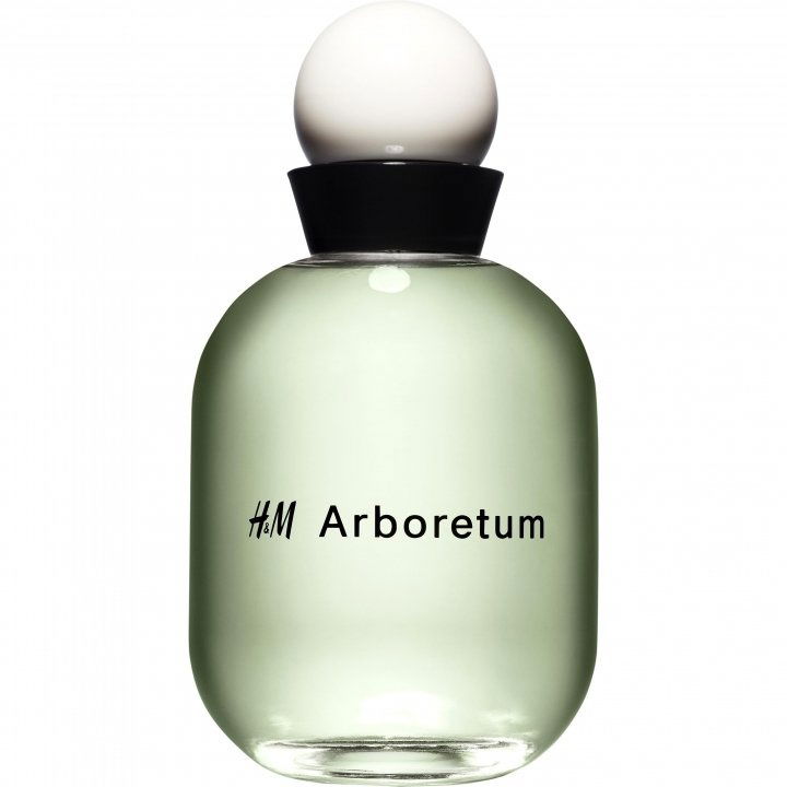 Arboretum EDT by H&M perfume bottle