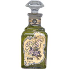 Extra Violette by Violet / Veolay perfume bottle