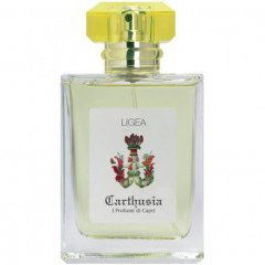 Ligea La Sirena EDT by Carthusia perfume bottle