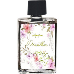 Dianthus by Wild Perfume perfume bottle
