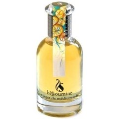 Rivages de Méditerranée by Bissoumine perfume bottle