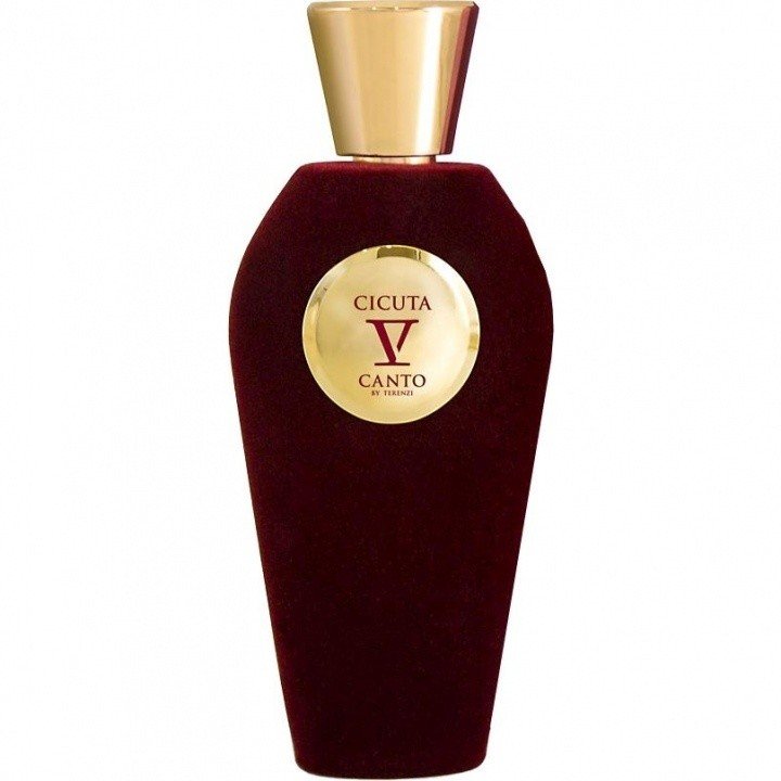 Cicuta by V Canto perfume bottle