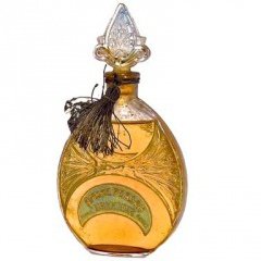 Ambre Persan by Bryenne perfume bottle