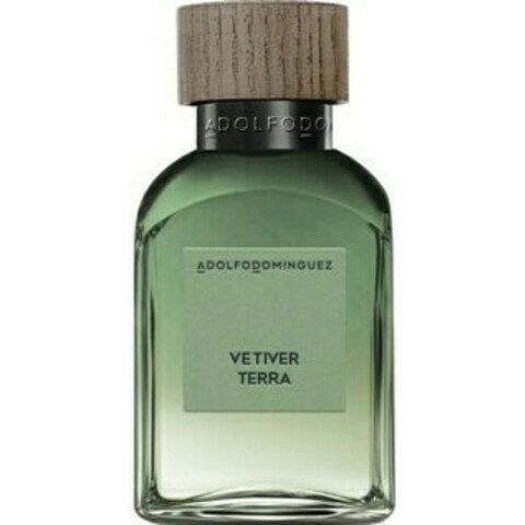 Vetiver Terra