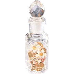 Narciss by Prochaska / Proka perfume bottle