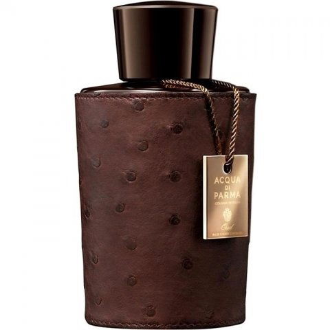 Colonia Intensa Oud Special Edition 2013 by Acqua di Parma perfume bottle