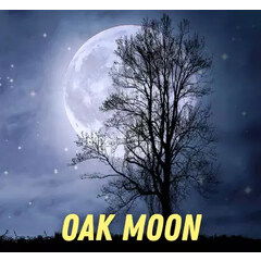 Oak Moon by Pulp Fragrance perfume bottle