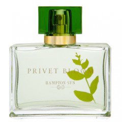 Privet Bloom by Hampton Sun perfume bottle