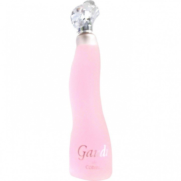 Gaudi by Parfums Codibel perfume bottle