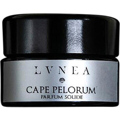 Cape Pelorum by Lvnea perfume bottle