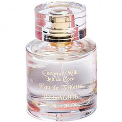 Coconut Milk / Lait de Coco