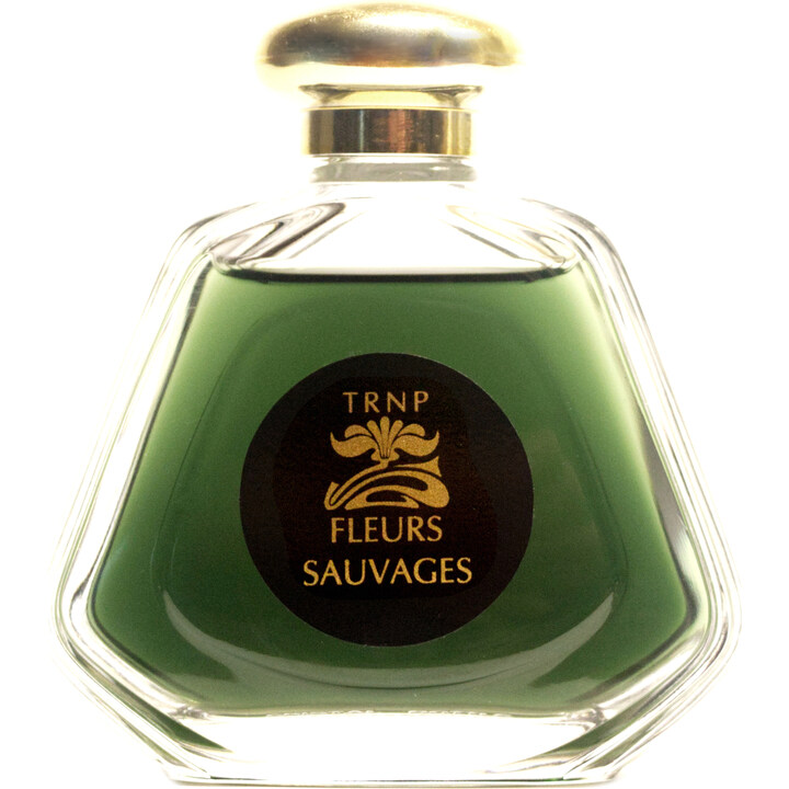 Fleurs Sauvages (2021) by Teone Reinthal Natural Perfume perfume bottle