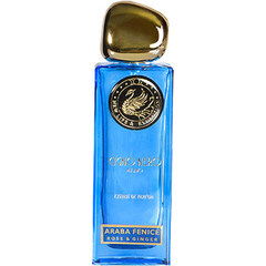 Araba Fenice by Cigno Nero perfume bottle