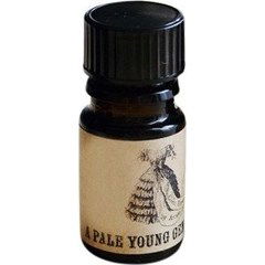 A Pale Young Gentleman by Arcana Wildcraft perfume bottle