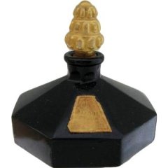 Le Début Noir by Richard Hudnut perfume bottle