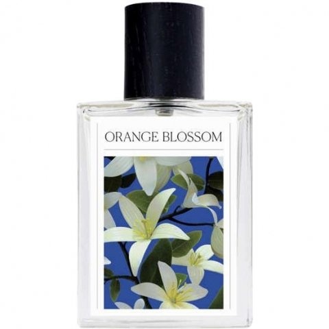 Orange Blossom by The 7 Virtues perfume bottle
