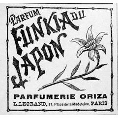 Parfum Funkia du Japon by Oriza L. Legrand perfume bottle