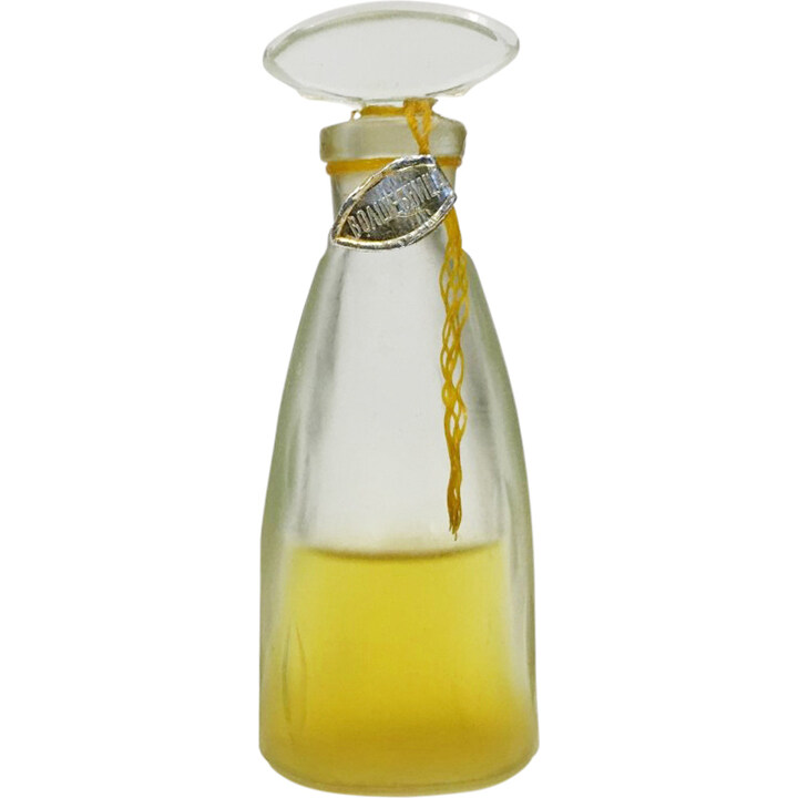 Volshebnica / Волшебница by Severnoye Siyanie / Северное Сияние perfume bottle