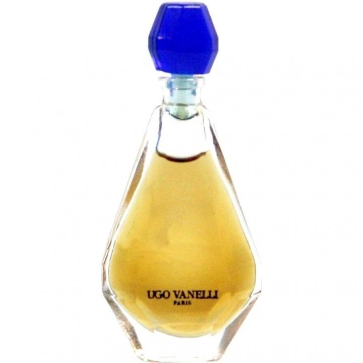 Bleu Nuit by Ugo Vanelli perfume bottle