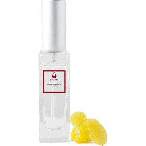 Ombre et Lumière by FL Parfums perfume bottle