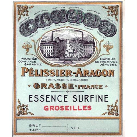 Essence Surfine Groseilles by Nogara / Péllisier-Aragon / Les Fontaines Parfumées perfume bottle