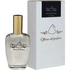 Incenso di Toscana by Marcoccia / Officine del Profumo perfume bottle