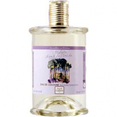 Sensations en Provence - Balade dans la pinède by Claude Galien perfume bottle