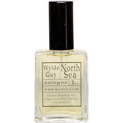 The Seas Collection - North Sea / North Sea by Wylde Ivy perfume bottle