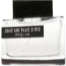 Sous une Pluie d'Iris by Pierre Guillaume perfume bottle
