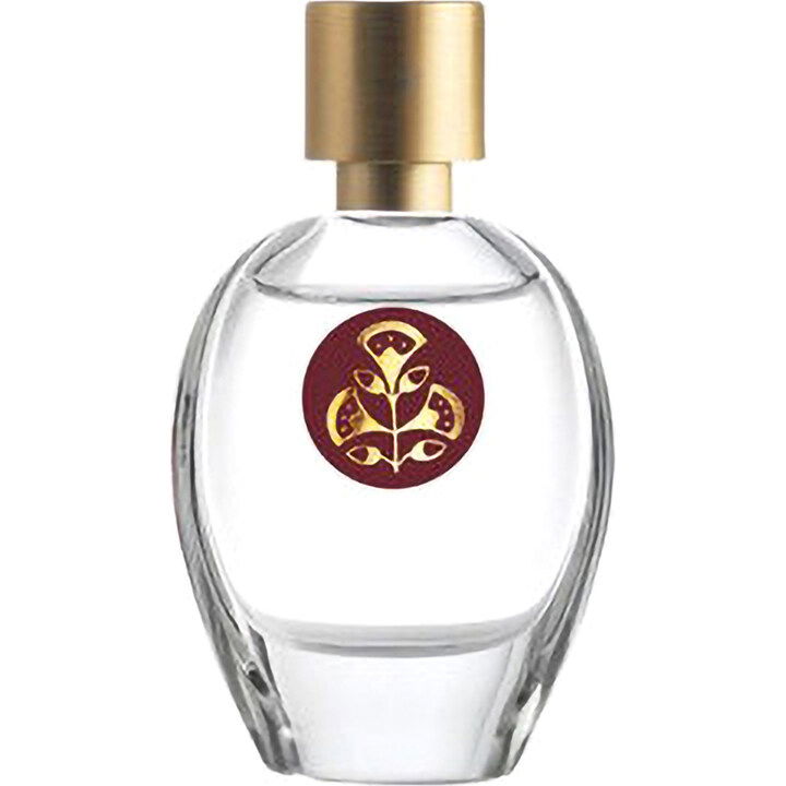 Flora Paradisi by Amaranthvs Herbis perfume bottle