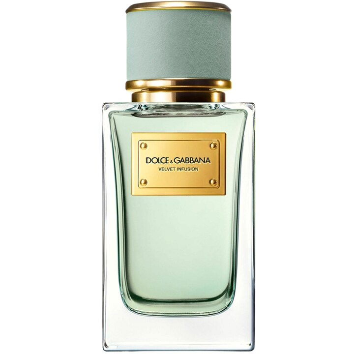 Velvet Infusion by Dolce & Gabbana perfume bottle