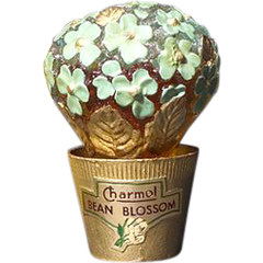 Bean Blossom by Charmol perfume bottle