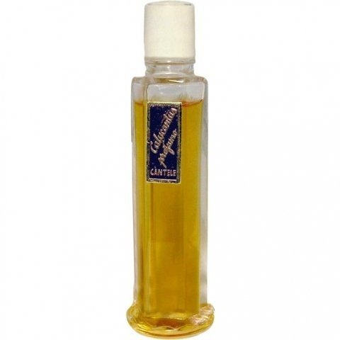 Calycantus by Càntele perfume bottle