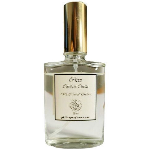 Civet by La Via del Profumo perfume bottle