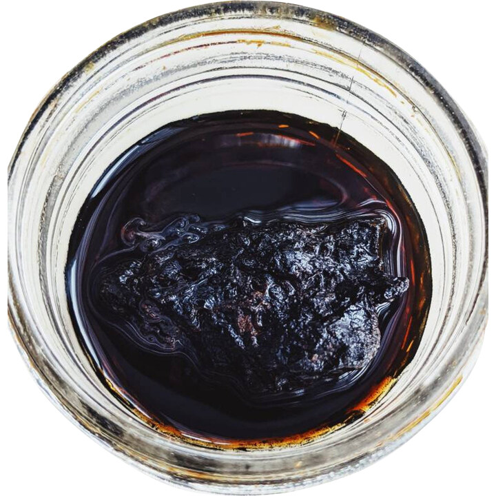 Ouroboros Forever by Wild Veil Perfume perfume bottle