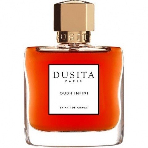 Oudh Infini by Dusita perfume bottle