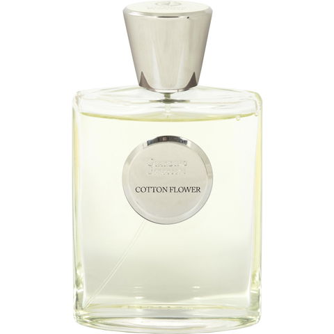 Cotton Flower by Giardino Benessere perfume bottle