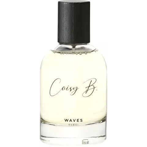 Waves by Coisy B. perfume bottle