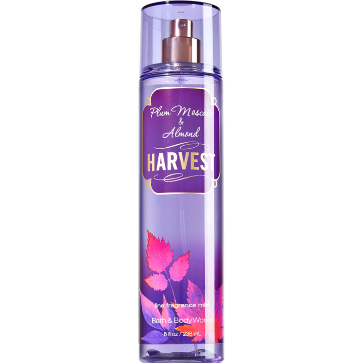 Harvest - Plum Moscato & Almond by Bath & Body Works perfume bottle