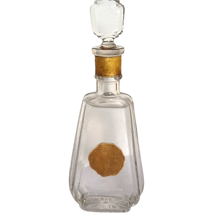Ennegé by NG perfume bottle