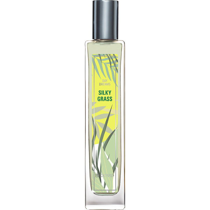 Day Dreams - Silky Grass by Brocard / Брокард perfume bottle