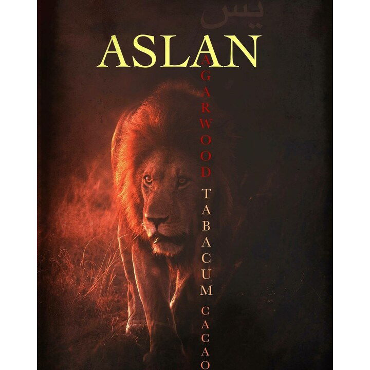 Aslan by Yaaseen perfume bottle