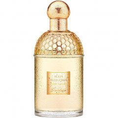 Aqua Allegoria Tiaré Mimosa by Guerlain perfume bottle