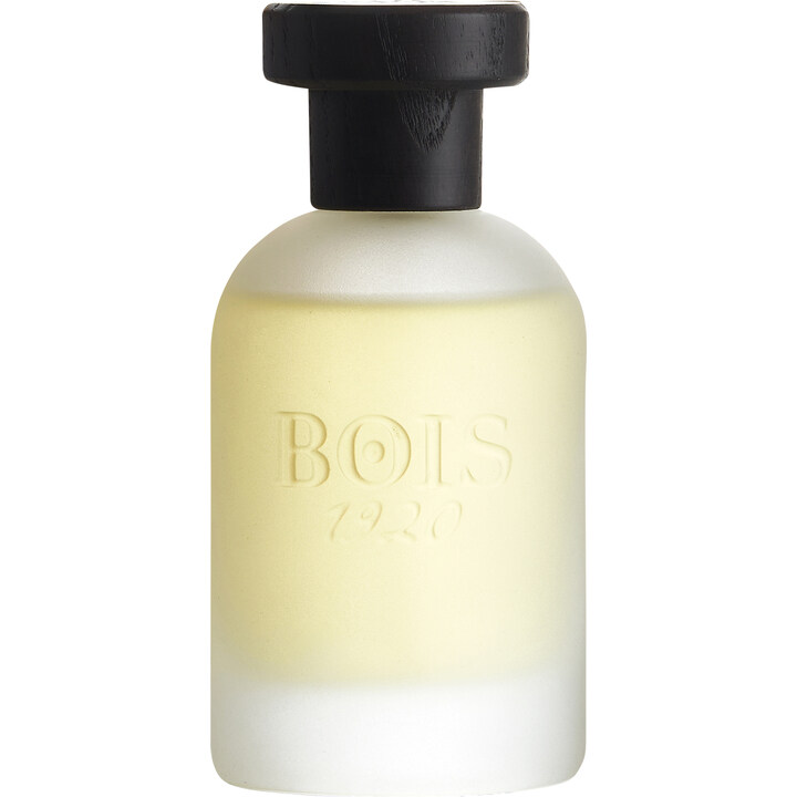 Classic Paradise by Bois 1920 perfume bottle