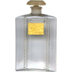 Les Jasmins de Tipaza / Jasmin de Tipaza by Salancy perfume bottle