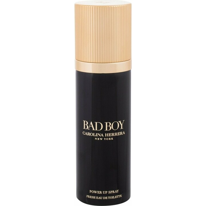Bad Boy Power Up Spray (Fresh Eau de Toilette) by Carolina Herrera perfume bottle