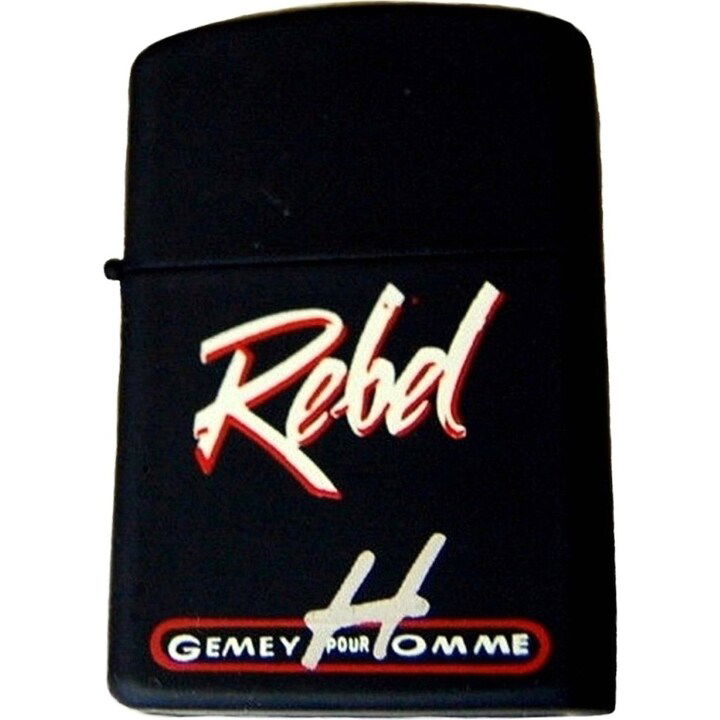 H pour Homme - Rebel by Gemey perfume bottle